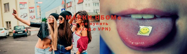 хмурый Алзамай