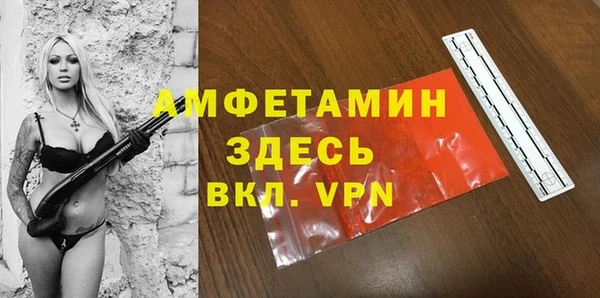 хмурый Алзамай