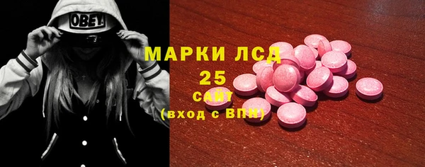 хмурый Алзамай