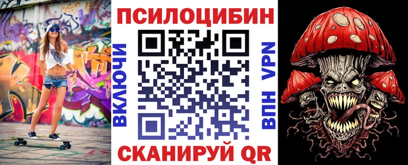 мега ТОР закладки Сунжа сайты даркнета какой сайт Галлюциногенные грибы мицелий