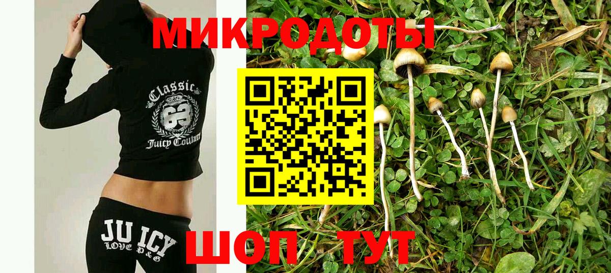 Сунжа  Псилоцибиновые грибы прущие грибы  Вход с VPN 